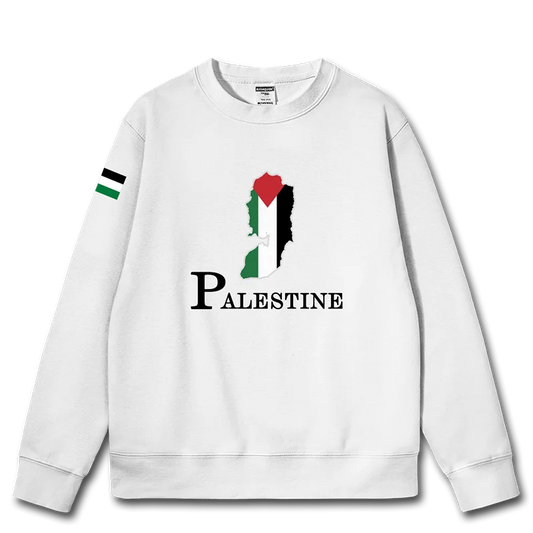 Palestine National Map mens hoodies